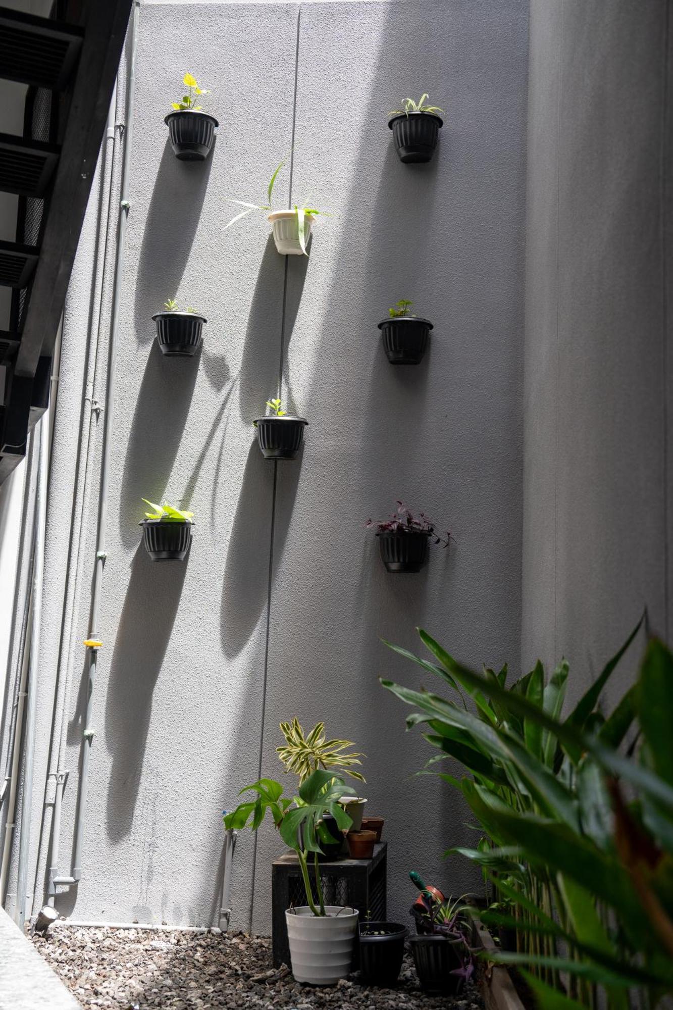 The Kamala Guest House تْشانغو المظهر الخارجي الصورة